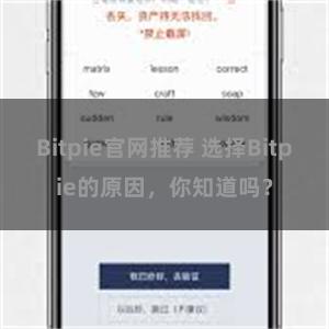 Bitpie官网推荐 选择Bitpie的原因，你知道吗？