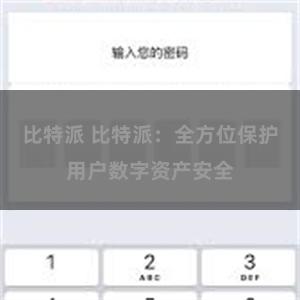 比特派 比特派：全方位保护用户数字资产安全