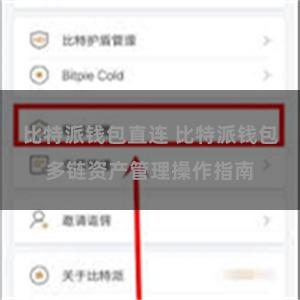 比特派钱包直连 比特派钱包多链资产管理操作指南