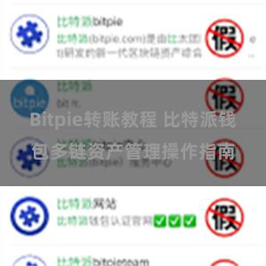 Bitpie转账教程 比特派钱包多链资产管理操作指南