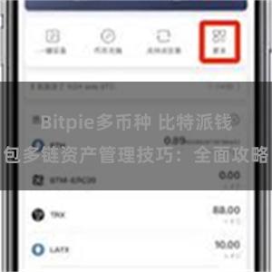 Bitpie多币种 比特派钱包多链资产管理技巧：全面攻略