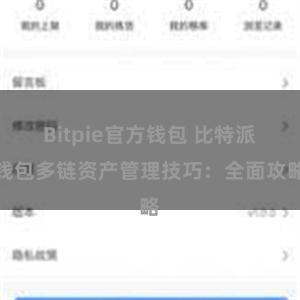 Bitpie官方钱包 比特派钱包多链资产管理技巧：全面攻略