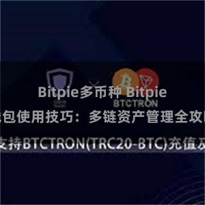 Bitpie多币种 Bitpie钱包使用技巧：多链资产管理全攻略