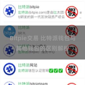 Bitpie交易 比特派钱包与其他钱包的区别解析