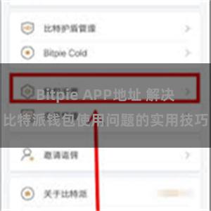 Bitpie APP地址 解决比特派钱包使用问题的实用技巧