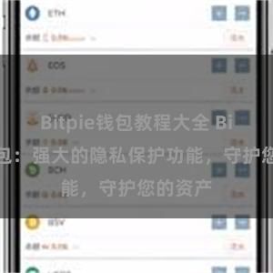 Bitpie钱包教程大全 Bitpie钱包：强大的隐私保护功能，守护您的资产