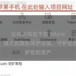 比特派钱包下载 Bitpie钱包：强大的隐私保护功能，守护您的资产