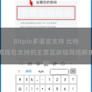 Bitpie多语言支持 比特派钱包支持的主要区块链网络解析