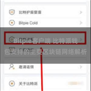 Bitpie客户端 比特派钱包支持的主要区块链网络解析