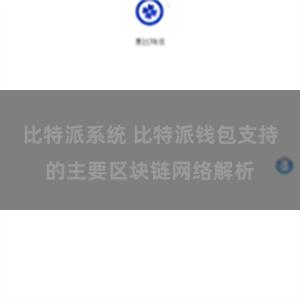 比特派系统 比特派钱包支持的主要区块链网络解析