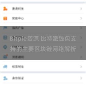 Bitpie资源 比特派钱包支持的主要区块链网络解析