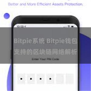 Bitpie系统 Bitpie钱包支持的区块链网络解析