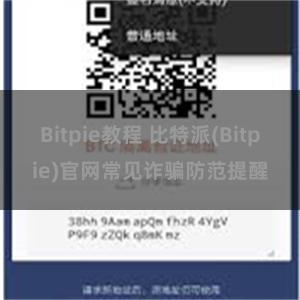 Bitpie教程 比特派(Bitpie)官网常见诈骗防范提醒