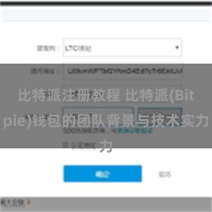 比特派注册教程 比特派(Bitpie)钱包的团队背景与技术实力