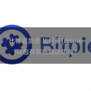 比特派加密 比特派(Bitpie)钱包有哪些隐藏功能？