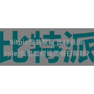 Bitpie安装教程 比特派(Bitpie)钱包如何设置每日限额？