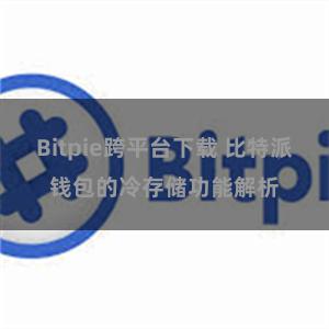 Bitpie跨平台下载 比特派钱包的冷存储功能解析