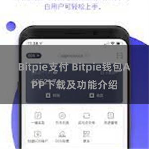 Bitpie支付 Bitpie钱包APP下载及功能介绍