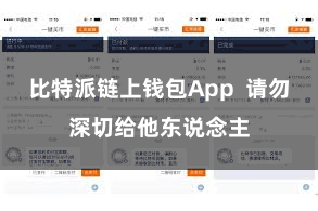 比特派链上钱包App 请勿深切给他东说念主
