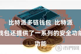 比特派多链钱包  比特派钱包还提供了一系列的安全功能